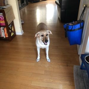 Meet your Posher, Mike